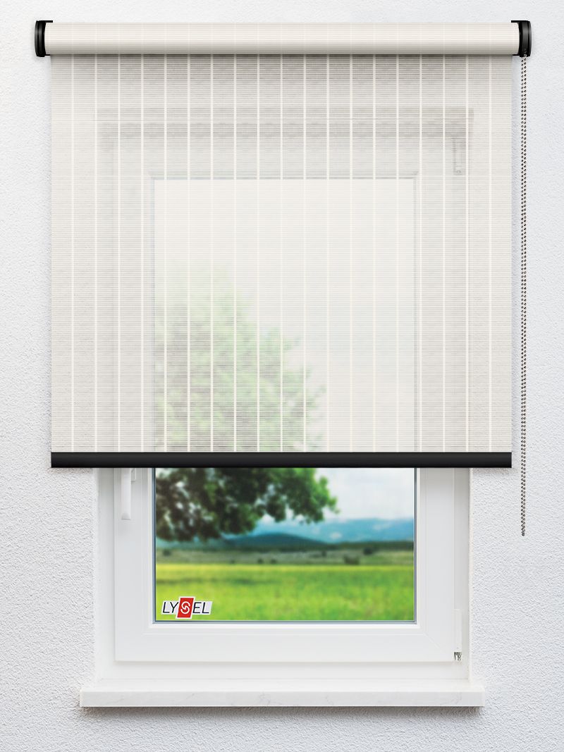 R477 Fensteransicht