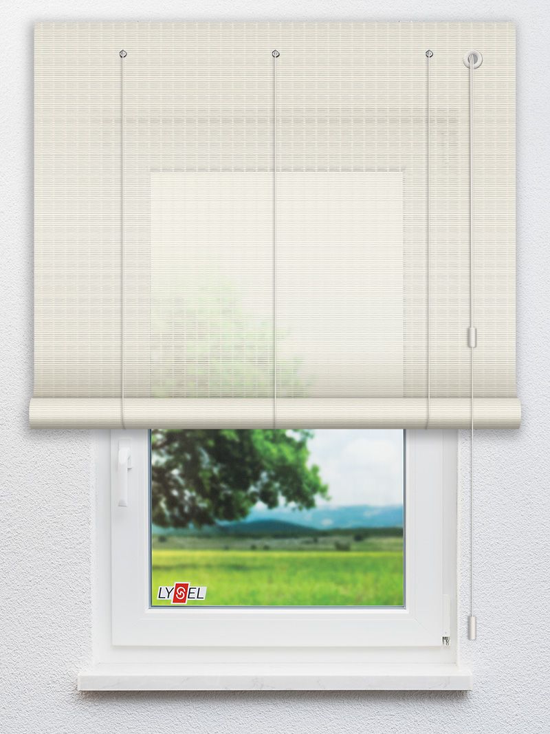 R587 Fensteransicht
