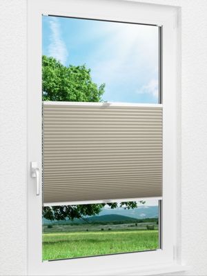 Wabe Milton 36.04.11 Fensteransicht