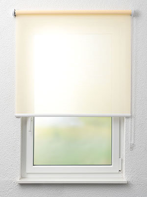 Rollo Structura Trans 91.210 Fensteransicht
