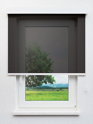 Rollo Folio 30.009 Fensteransicht