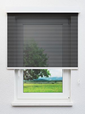 Rollo Foil Reflection 30.309 Fensteransicht