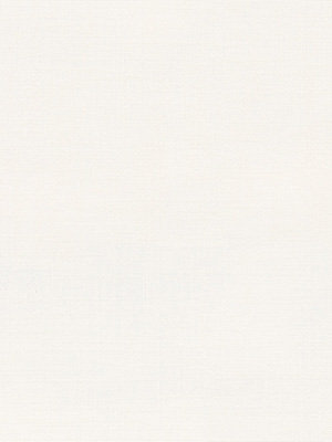 Rollo Texture Light 12.761 Detailansicht