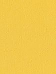 Rollo Daily Uni 42.850 Rollo Daily Uni 42.850