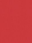 Rollo Daily Uni 03.850 Rollo Daily Uni 03.850