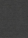Lameiro Blackout 83.62d