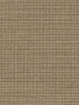 Tapini 10.72d