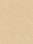 Terapo 41.72d