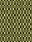 Terapo 28.72d