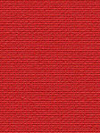 Masusu 31.92d