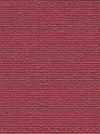 Masusu 41.92d