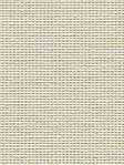 Masusu Blackout 12.92d Masusu Blackout 12.92d