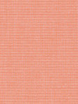 Rollo Jeans 82.104 Rollo Jeans 82.104