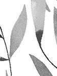 Rollo Bamboo Arts 20.286 Rollo Bamboo Arts 20.286
